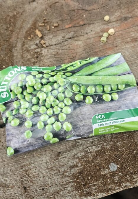 Planting Apple in Lancashire